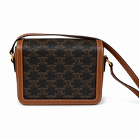 CELINE Teen Triomphe Bag in Triomphe Canvas and Calfskin 18x14