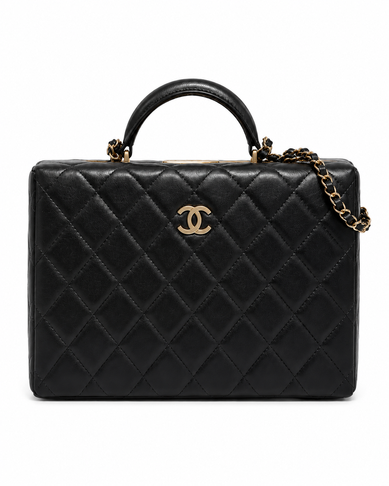 CHANEL Quilted Top Handle Camera Bag Black Leather Gold Tone Hardware